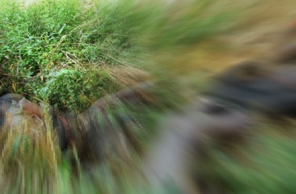 Mhoje_stabbatmatermoz_photo_jpg