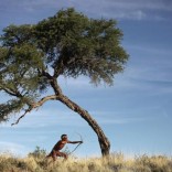 Mhoje_bushmen_photo_jpg