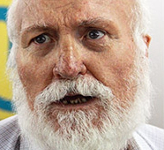 Mhoje_garrincha_photo_jpg