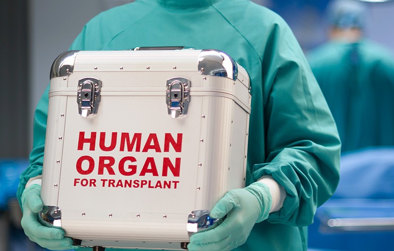 Mhoje_humanorgan_photo_jpg