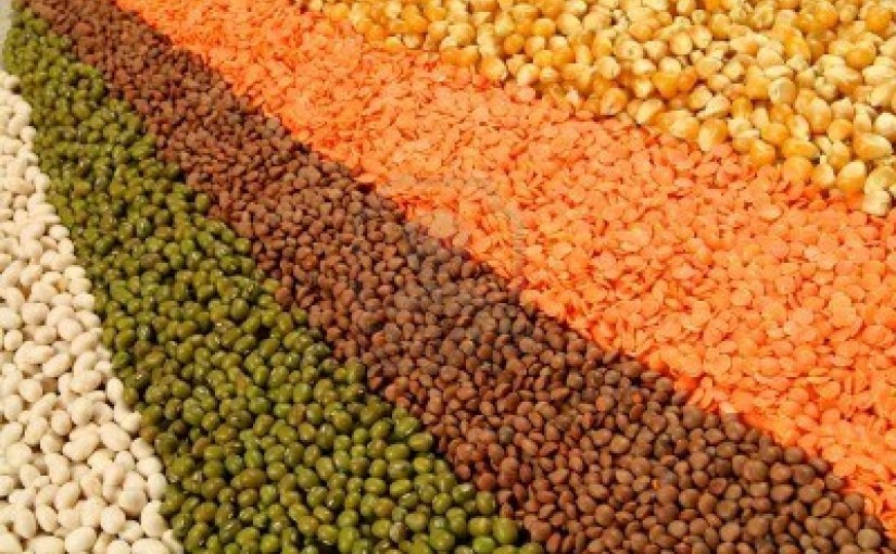 Mhoje_lentils_photo_jpg