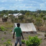Mhoje_niassa_photo_jpg
