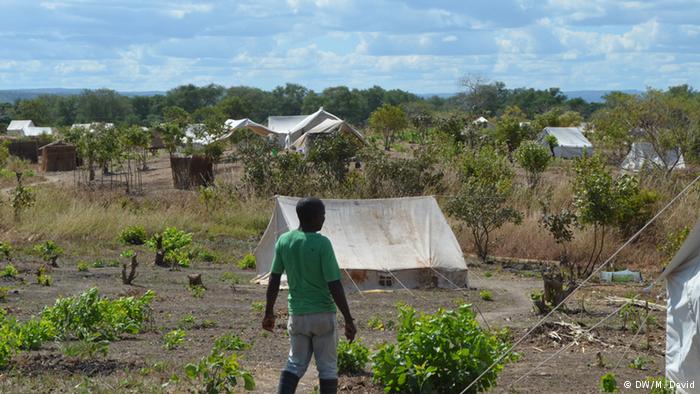 Mhoje_niassa_photo_jpg