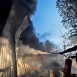 Mhoje_saprotest_photo_jpg