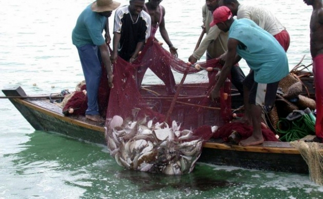 Mhoje_sofalafishcatch1_photo_jpg