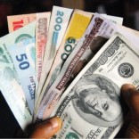 naira_nigeria7