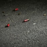 Mhoje_bullets_photo_jpg