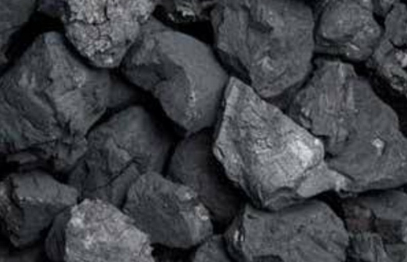 Mhoje_coalicvl_photo_jpg