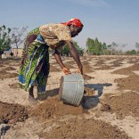 Mhoje_faodrought_photo_jpg