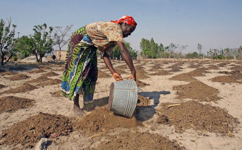 Mhoje_faodrought_photo_jpg