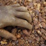 Mhoje_goldmining_photo_jpg
