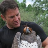 Mhoje_martialeagle_photo_jpg