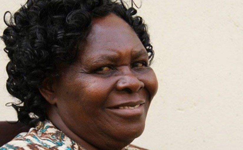 Mhoje_masvingostateminiter_photo_jpg