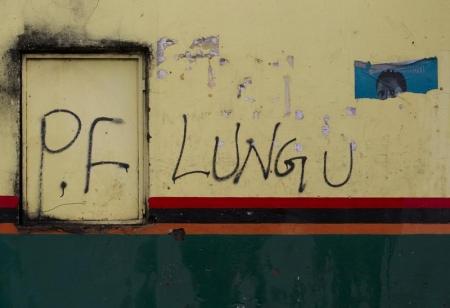 Patriotic Front (PF) Presidential candidate Edgar Lungu's name appears on a shop wall in Lusaka, January 20, 2015. REUTERS/Rogan Ward