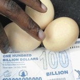 Mhoje_zimdollar_photo_jpg