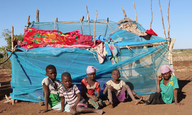 Mhoje_zimnewsonrenmo_photo_jpg