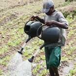 Mhoje_agriculturemoz3_photo_jpg