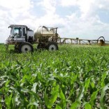 Mhoje_agriculturemz_photo_jpg