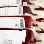 Mhoje_bloddotransfusion_photo_jpg