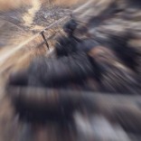 Mhoje_cheringoma5_photo_jpg