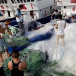 Mhoje_chinafishermen_photo_jpg