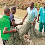 Mhoje_fishproduction_photo_jpg