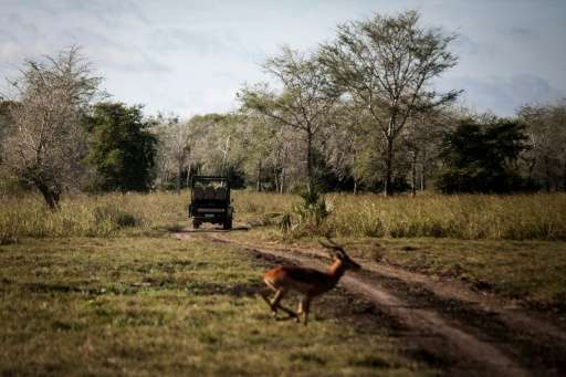 Mhoje_gorongosapark_photo_jpg