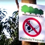 Mhoje_milhulamentee_photo_jpg