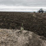 Mhoje_southernafricadrought_photo_jpg