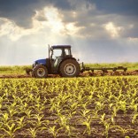 mhje_farming_photo_jpg