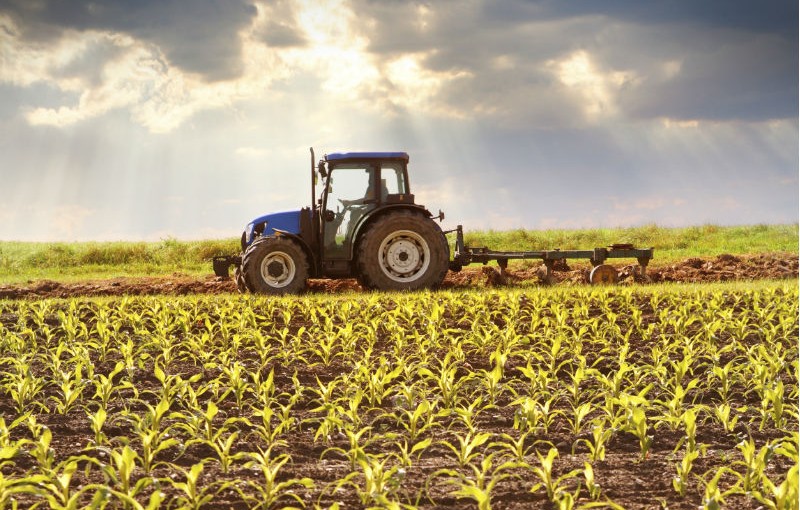 mhje_farming_photo_jpg