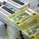 mhoje_idcards1_photo_jpg