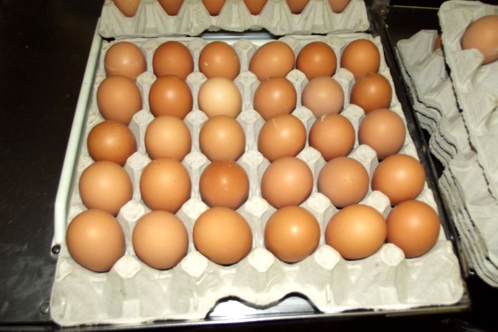 mhoje_galovos_photo_jpg