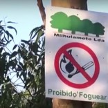 mhoje_milhulamente_photo_jpg