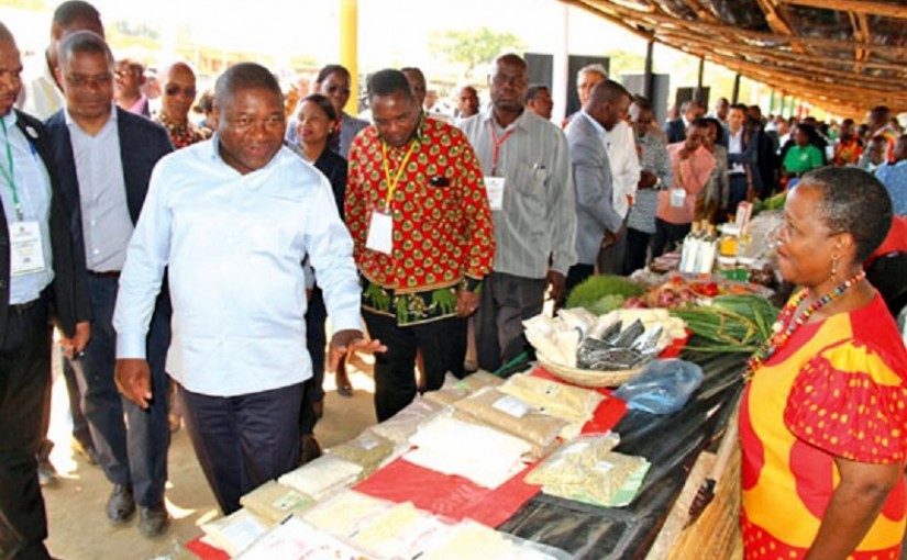 mhoje_nyusimanica3_photo_jpg