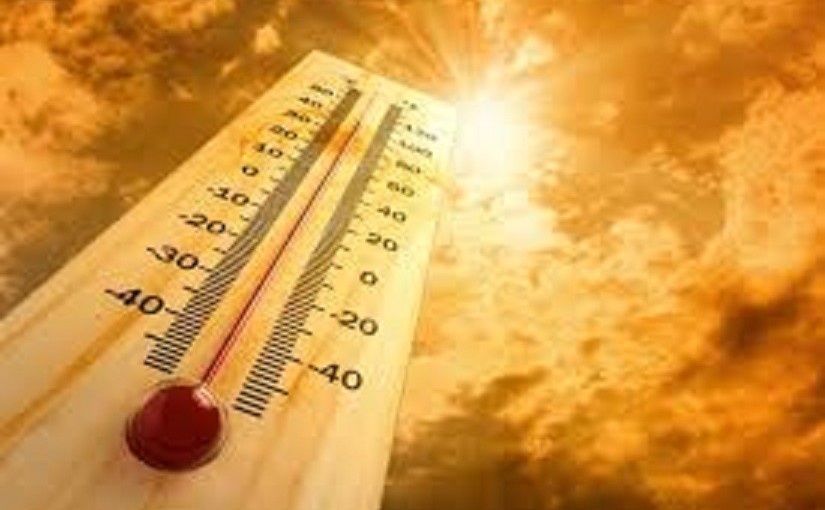 mhoje_temperatures1_photo_jpg-825x510