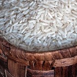 dnu_rice_08122014