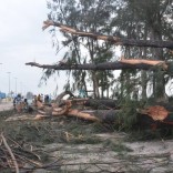mhije_stormrfi_photo_jpg