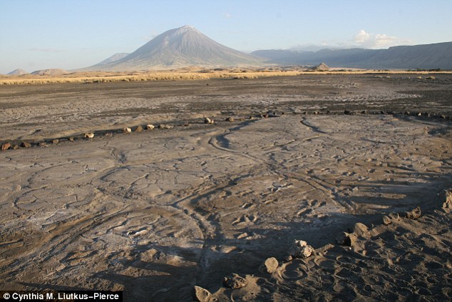 mhoje_footprints_photo_jpg