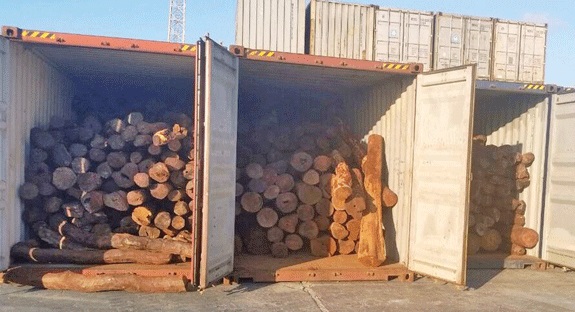 mhoje_loggingseizedwood_photo_jpg