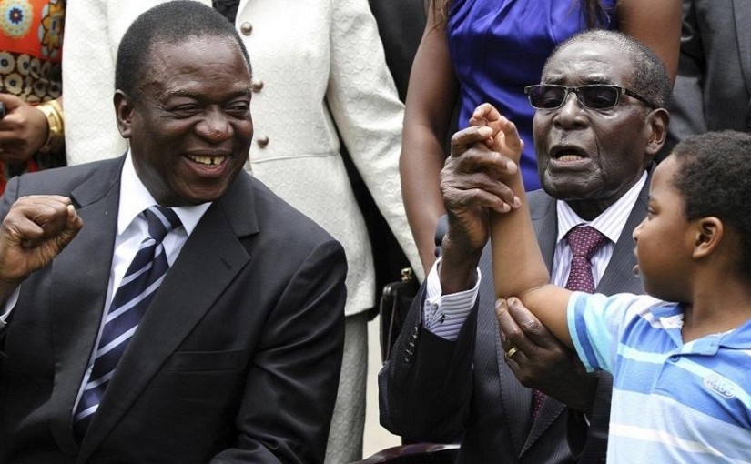 mhoje_mugabefilee3_photo_jpg