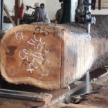 obtala