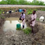 mhoje_droughtnoticias1_photo_jpg