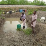 mhoje_droughtnoticias_photo_jpg