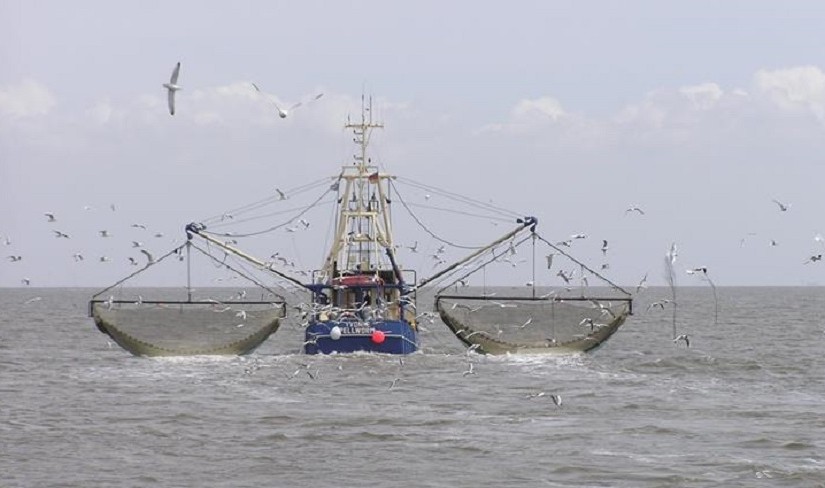 mhoje_tunafishing_photo_jpg