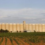 Grain silo's stand behind fields near Coligny, South Africa, in this picture taken January 28, 2016.  REUTERS/Sydney Seshibedi
