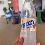 frozynoticias