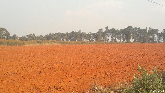 prosavana
