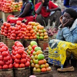 A woman selling tomatoes in a market in Dedza, Malawi, along the border with Mozambique.