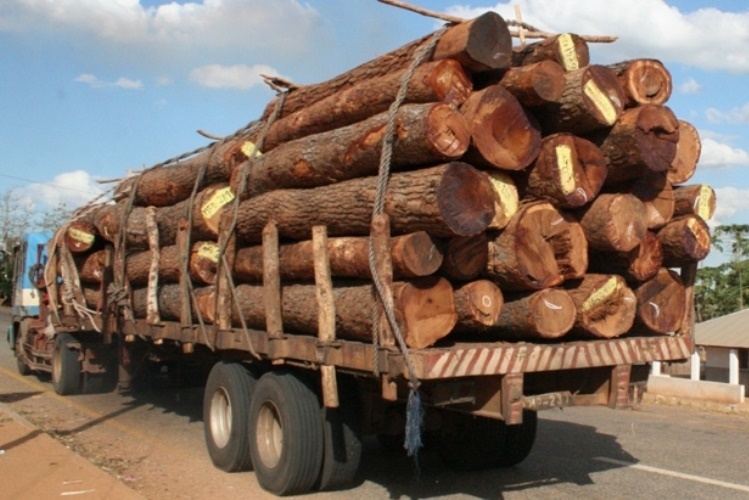 mhoje_loggingfilefm_photo_jpg